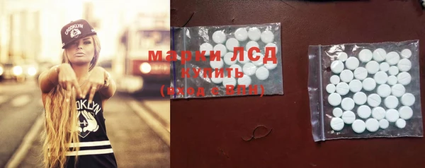 индика Абаза