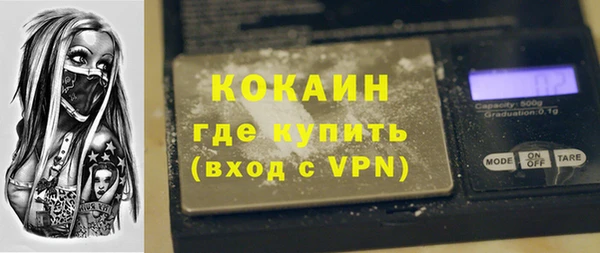 индика Алексеевка