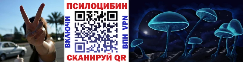 Галлюциногенные грибы прущие грибы  что такое   Змеиногорск 